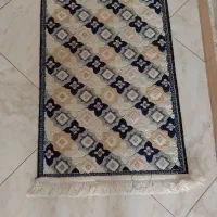 دوعدد پادری سالم ونو