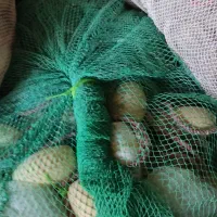 فروش جل میگو