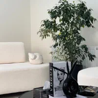 نیروی پذیرش کلینیک زیبایی