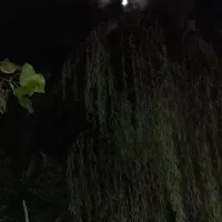 کارگرساده