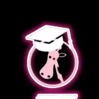 تدریس آنلاین زبان ترکی استانبولی/آلمانی/انگلیسی