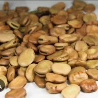 بذر باقله|خدمات باغبانی و درختکاری|دره شهر, |دیوار