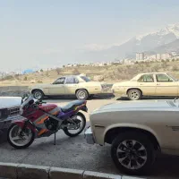 خودرو کلاسیک کلکسیونی