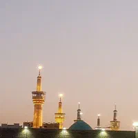 زیلرت
