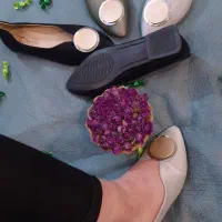 کفش مخصوص سخت پسندان|کیف، کفش، کمربند|زابل, |دیوار