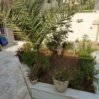 رهن اجاره ۵۸ متری در  نارمک میدان چهل حتی مجرد|اجارهٔ آپارتمان|تهران, مدائن|دیوار