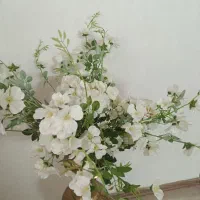 ۱۱ شاخه گل وارداتی