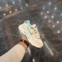 کفش|کیف، کفش، کمربند|شیراز, عفیف‌آباد|دیوار