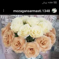 گل مصنوعی|گل مصنوعی|رشت, معلم|دیوار