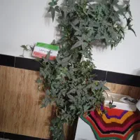 درختچه مصنوعی