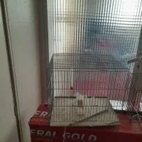 قفس با وسیله اش|لوازم جانبی حیوانات|تهران, فرزانه|دیوار