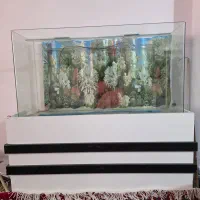 آکواریوم شیشه خم