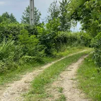 فروش فوری زمین مسکونی در روستای مالفجان