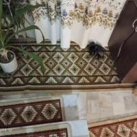 روپله ای|گلیم، جاجیم، گبه|ملایر, |دیوار