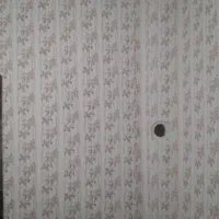 نقاشی ساختمان با۳۰سال سابقه|خدمات پیشه و مهارت|قوچان, |دیوار