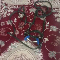 زین اسب|اسب و تجهیزات اسبسواری|تولم شهر, |دیوار