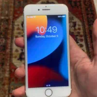iPhone 7|موبایل|شیراز, قدوسی غربی|دیوار