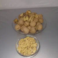 عسل و گردو