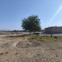فروش-زمین-مرودشت-قبل-از-گندم-پلاک-ثبتی-97