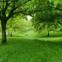 تور یک روزه یاسوج و تنگ تیزاب