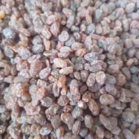 کشمش  پاک شده ارگانیک شب چله