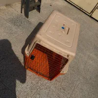 فروش باکس سگ و گربه سایز بزرگ
