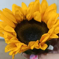 مربی مهد میشم