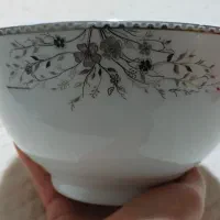 کاسه آب گوشت خوری