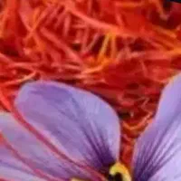 زعفران اصل را از کشاورز بدون واسطه بگیرید|خوردنی و آشامیدنی|تهران, شهرک غرب|دیوار