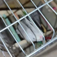 باسلام خدمت دوستان عزیز