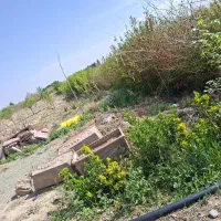 فروش-باغ