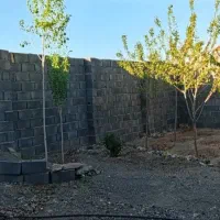 باغچه-خاوه