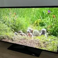 تلوزیون ال ای دی 32 اینچ سام sam نو نو