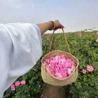 تور ۱ روزه گلابگیری قمصر کاشان
