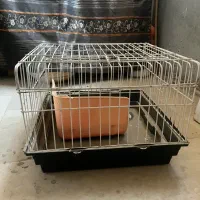 قفس خرگوش|موش و خرگوش|بجنورد, |دیوار