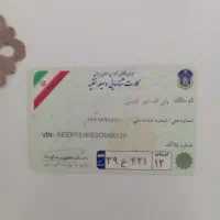 پیدا شده
