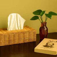 حصیربافی|صنایع دستی و سایر لوازم تزئینی|سیرجان, |دیوار