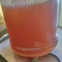 عسل کنار خرید مستقیم از زنبور دار