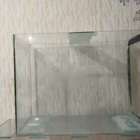 آکواریوم  و تعدادی ماهی معاوضه با پرنده