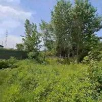 فروش زمین مسکونی /۲۴۱متری سندار