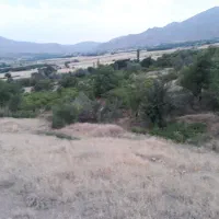 زمین کشاورزی|فروش دفتر صنعتی، کشاورزی، تجاری|شازند, |دیوار