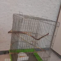 قفس بزرگ نو|لوازم جانبی حیوانات|بندر امام خمینی, |دیوار