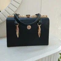 کیف مجلسی سالم