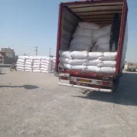 کاه نرم و سفید کردستان|لوازم جانبی حیوانات|زابل, |دیوار