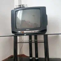 تلویزیون