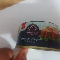 تون ماهی|ماهی|قم, قلعه کامکار|دیوار