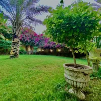 اجاره انواع لوکس ترین ویلاهای دزفول|اجارهٔ کوتاهمدت ویلا و باغ|دزفول, |دیوار