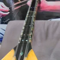 باغلاما حرفه ای دسته بلند