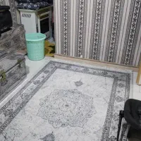 اجاره خانه ی ۶۰ متری  شهرداری|اجارهٔ آپارتمان|پاکدشت, پاکدشت (مامازند)|دیوار