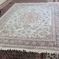 فرش فرهی|فرش|زنجان, |دیوار